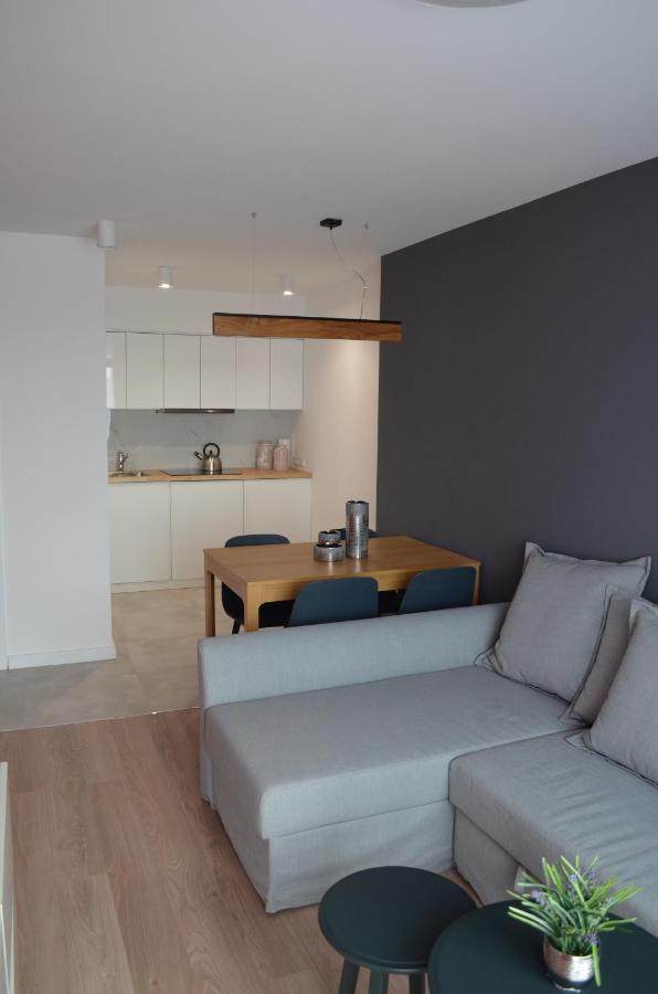 V3 Sokolska 33 Apartman Katowice Kültér fotó